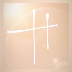 Meet your Posher, Joy